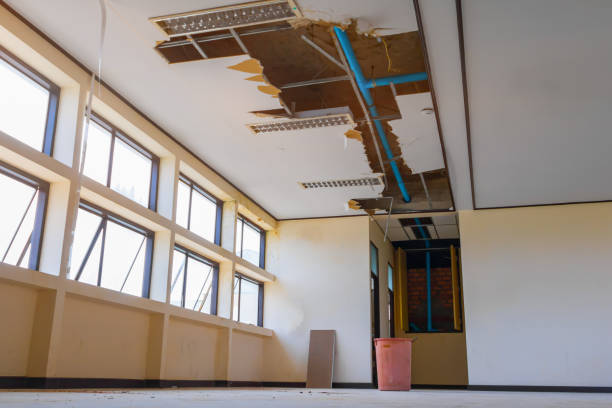 Best Fire Damage Restoration  in Daytona Beach Shores, FL