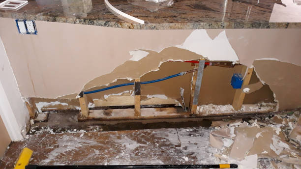 Best Flood damage cleanup  in Daytona Beach Shores, FL
