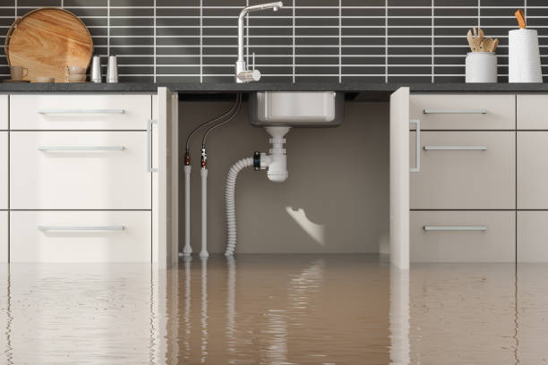Best 24/7 water damage repair  in Daytona Beach Shores, FL