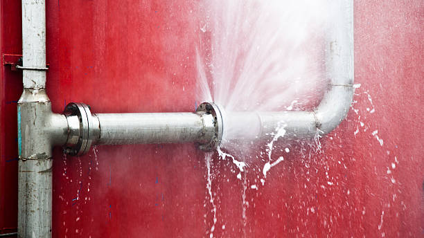 Best Carpet water damage restoration  in Daytona Beach Shores, FL